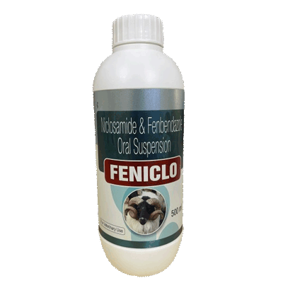 Feniclo-img