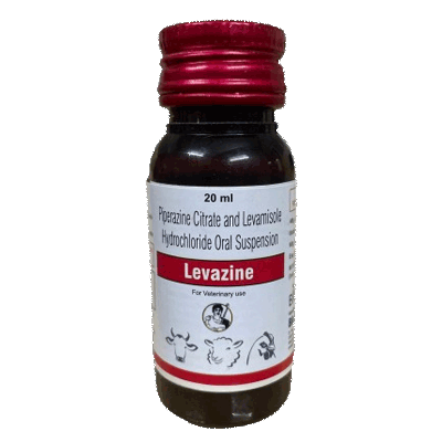 Levazine-img